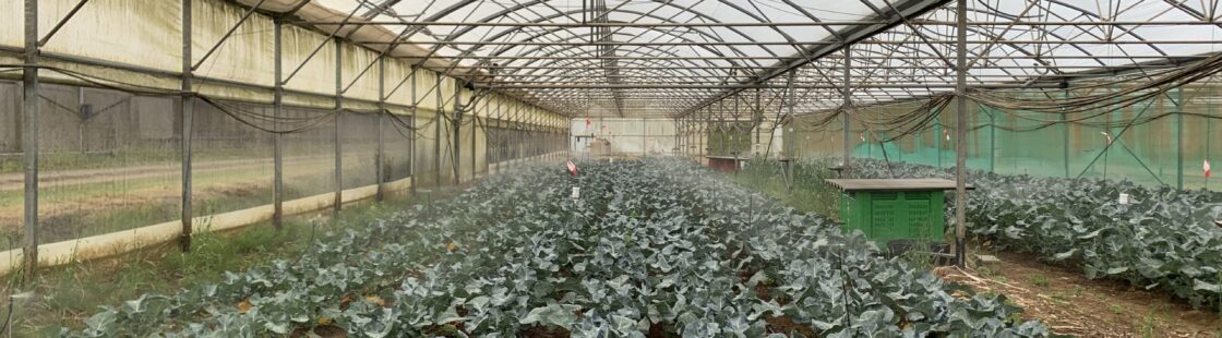 CLIMATVEG – tâche 3.2